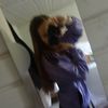 alisa_xd0