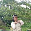 silit385