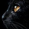farida_ady77