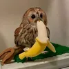 norettalombert
