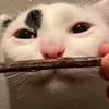 daniel__1330