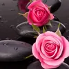 ali.udh