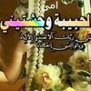 samerhanfy499