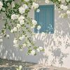nada_makhlouf