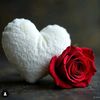 idalia_1417