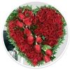alyaaahmad967