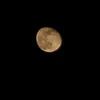 el_mouna_