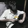 zemxn52