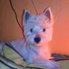 josettehalut675