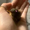 llolitaperz