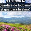 felipedejesuscruz9829