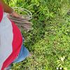 corado_072