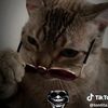 frankli12_06