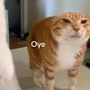 monantrungquoctq