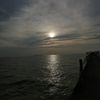 teh_hijau10
