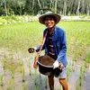 ครูเปลื้อง
