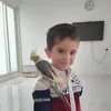 wardaahmad86