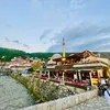 hasanaj019