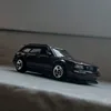 borsuk_012