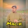 malikqadeer4111