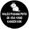 orang_gamon54