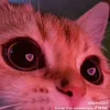 .crocheta_22