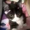 lil.softie6