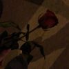 gonul_turkolu1