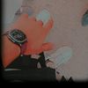 atiqqureshi273