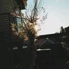 tdsnotes