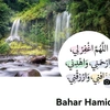 bahar_0012