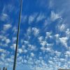 3mr_alharbi