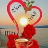 user8905243984217