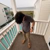 julianlevinbtw