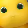 wdbdnic