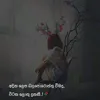 lovenem0