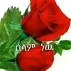 sekina.girma