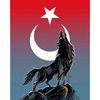 bozkurt.derya