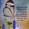 elfapiedadserrano0