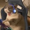 guilybuily