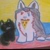 elhuskycolombiano