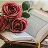alhakbar85