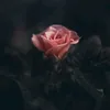 elghalia.nour