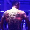 gym_bird