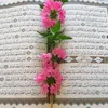 user8953069788802y
