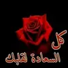 user69636188137915