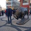 oktay.yildizer1