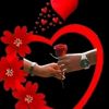 user79n8zss029