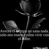 irenelopez8631