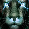 nightmarz123